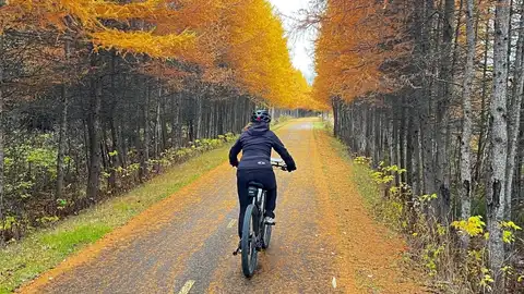 A Bicicleta Perfeita para Trilhas e Asfalto: Desvendando a Versatilidade para o Ciclista Urbano e Aventureiro