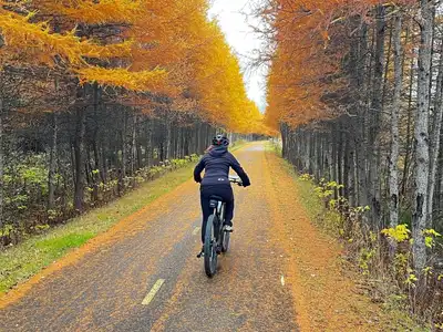 A Bicicleta Perfeita para Trilhas e Asfalto: Desvendando a Versatilidade para o Ciclista Urbano e Aventureiro