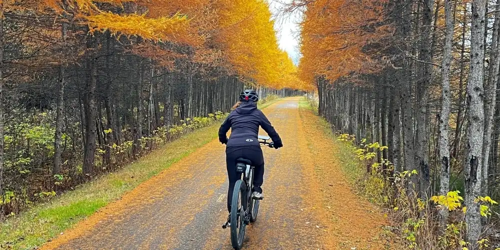 A Bicicleta Perfeita para Trilhas e Asfalto: Desvendando a Versatilidade para o Ciclista Urbano e Aventureiro