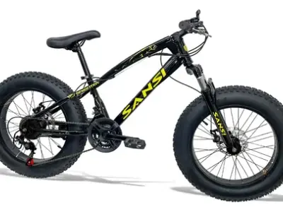 Fat Sports Aro 20 Fat Bike