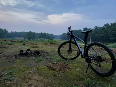 Qual a Melhor Marca de Bicicleta? Desvendando o Mito da Escolha Única