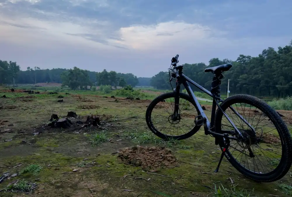 Qual a Melhor Marca de Bicicleta? Desvendando o Mito da Escolha Única